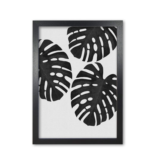 Monstera Black & White III Print By Orara Studio Black Grain