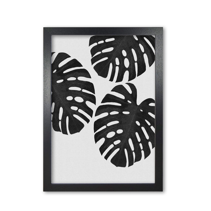 Monstera Black & White III Print By Orara Studio Black Grain