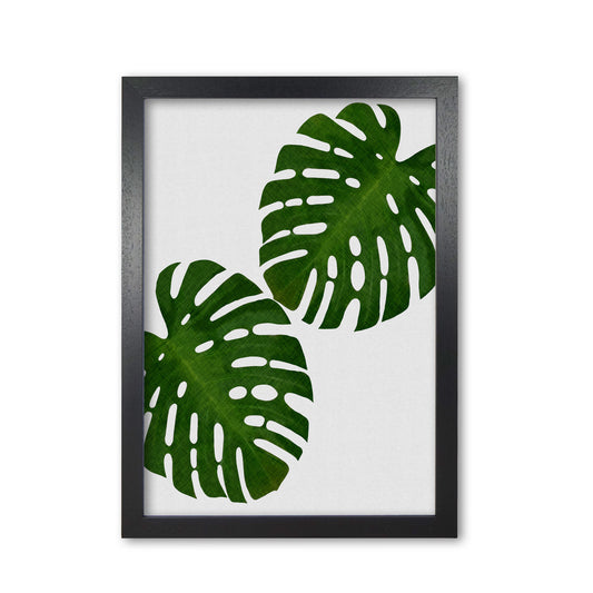 Monstera Leaf II Print By Orara Studio, Framed Botanical & Nature Art Print Black Grain