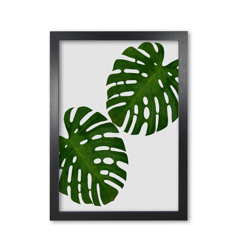 Monstera Leaf II Print By Orara Studio, Framed Botanical & Nature Art Print Black Grain