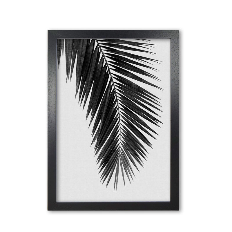 Palm Leaf Black & White I Print By Orara Studio Black Grain