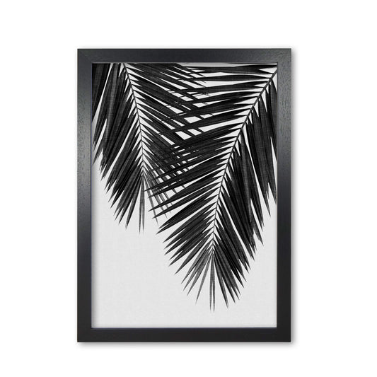 Palm Leaf Black & White II Print By Orara Studio Black Grain