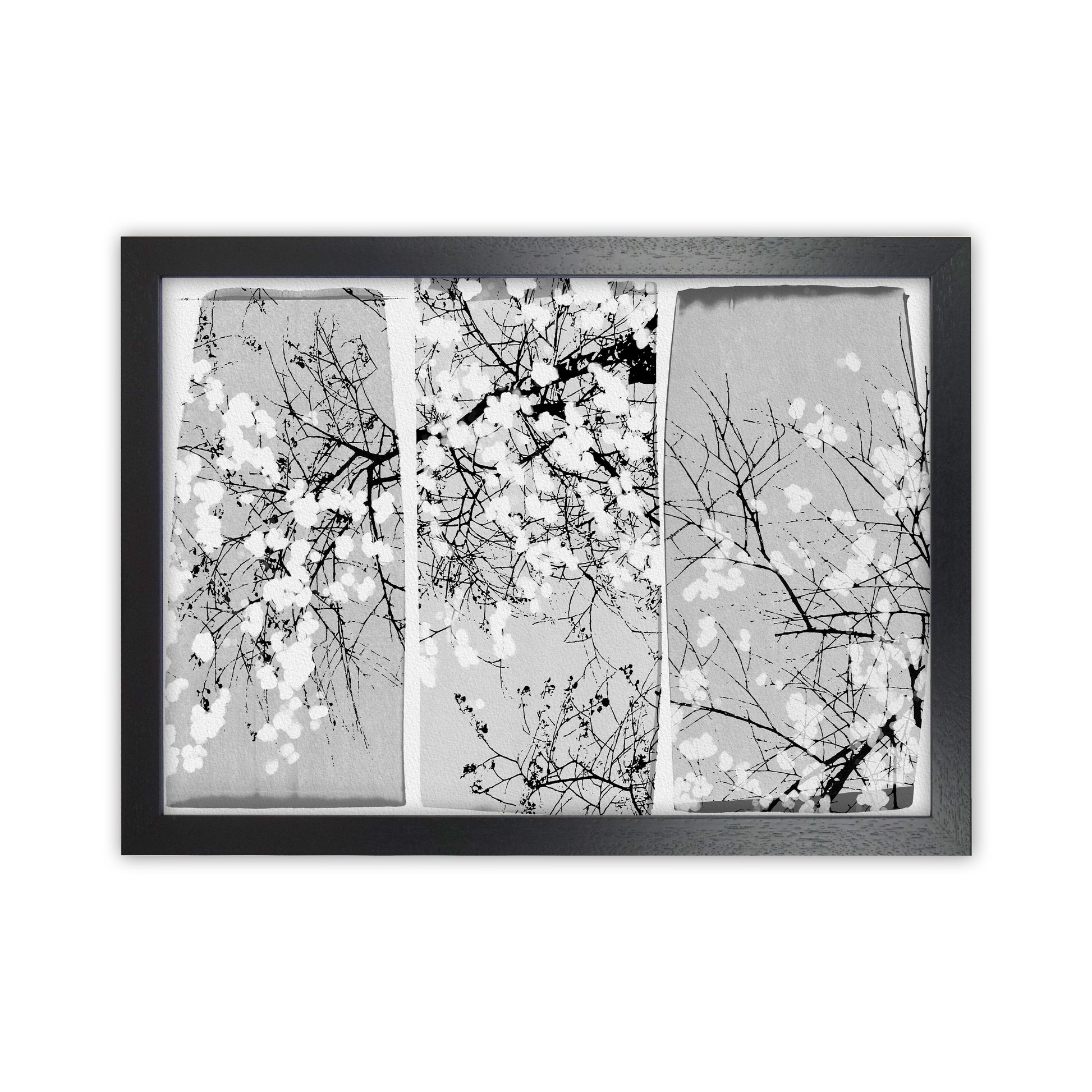 Oriental Blossom Botanical Art Print by Orara Studio Black Grain