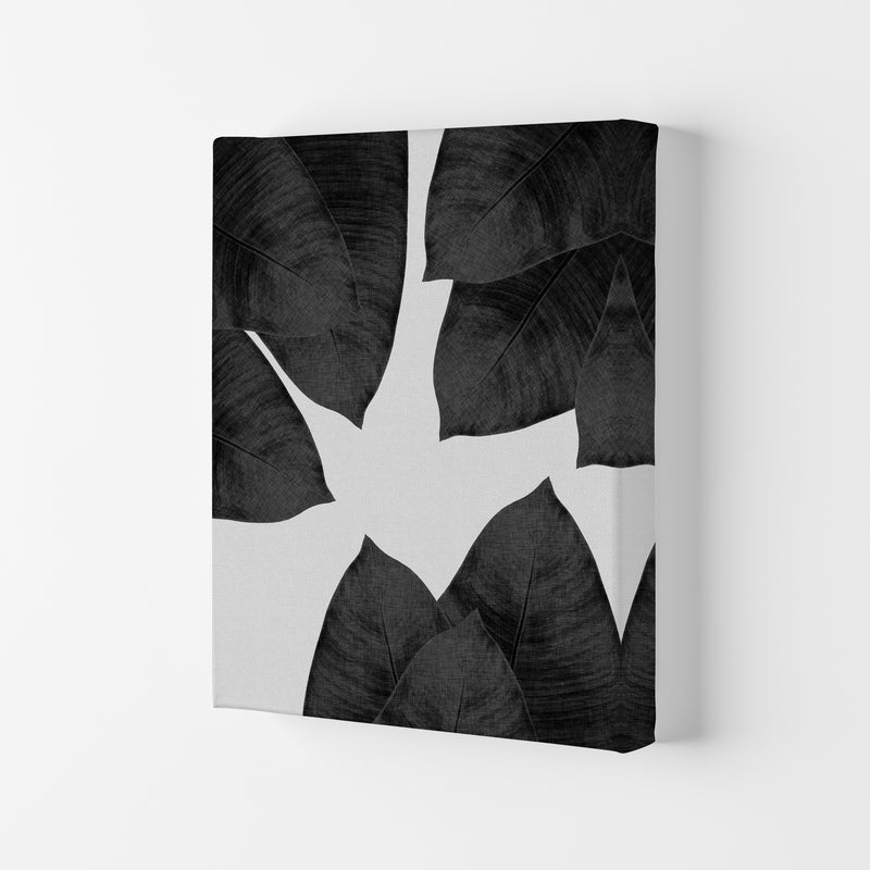 Banana Leaf Black & White I Print By Orara Studio Canvas