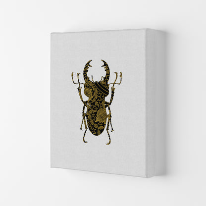 Black And Gold Beetle II Print By Orara Studio Animal Art Print Canvas