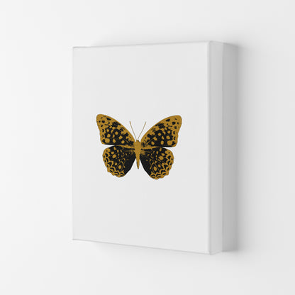 Black Butterfly Print By Orara Studio Animal Art Print Canvas