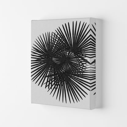 Fan Palm Black & White Print By Orara Studio Canvas