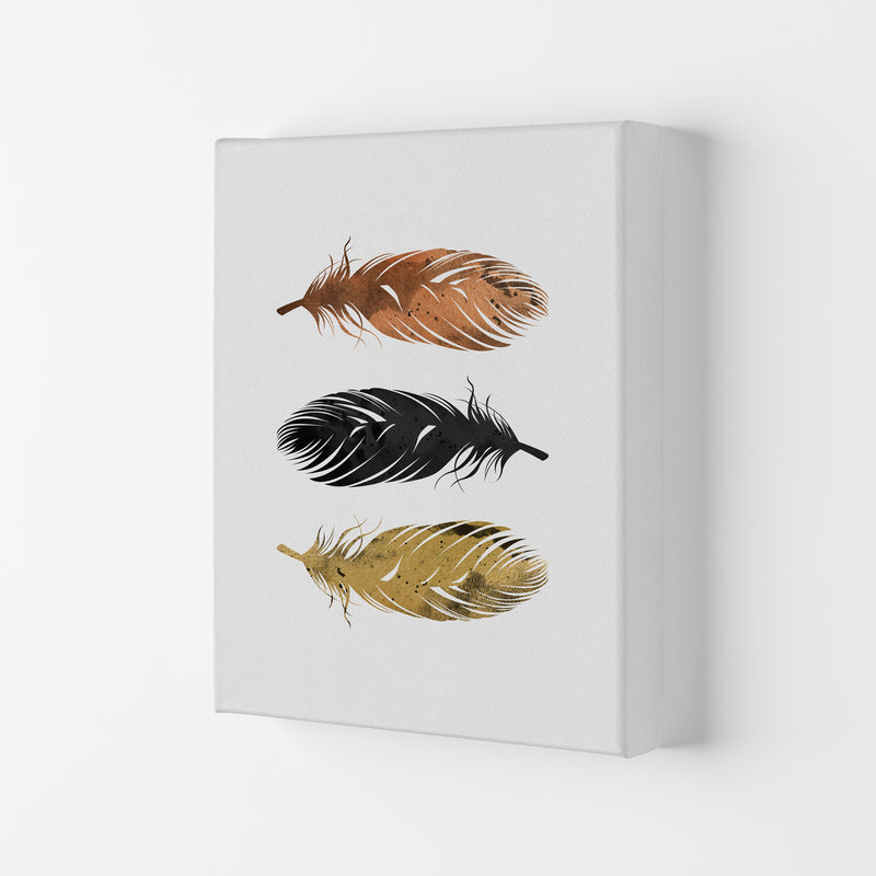 Feathers Print By Orara Studio, Framed Botanical & Nature Art Print Canvas