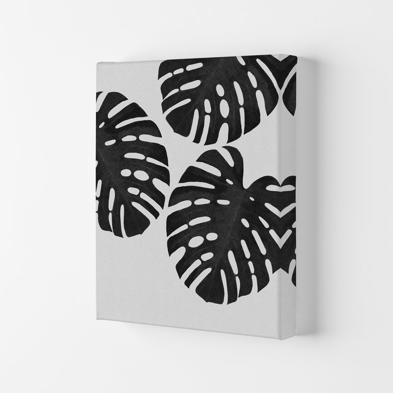 Monstera Black & White III Print By Orara Studio Canvas