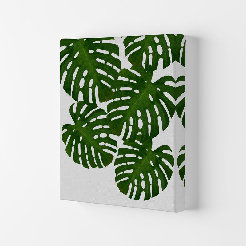 Monstera Leaf I Print By Orara Studio, Framed Botanical & Nature Art Print Canvas