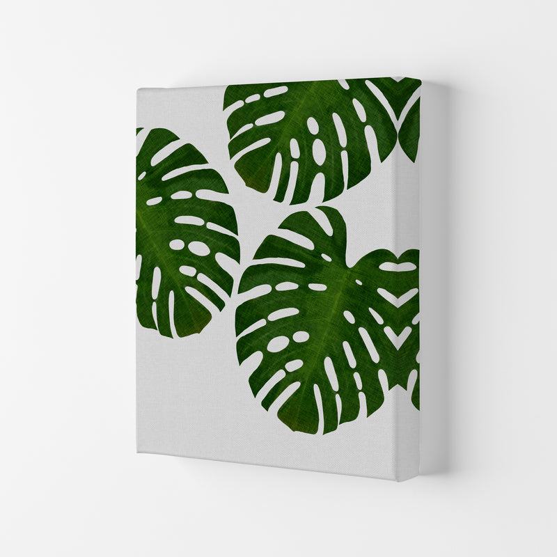 Monstera Leaf III Print By Orara Studio, Framed Botanical & Nature Art Print Canvas