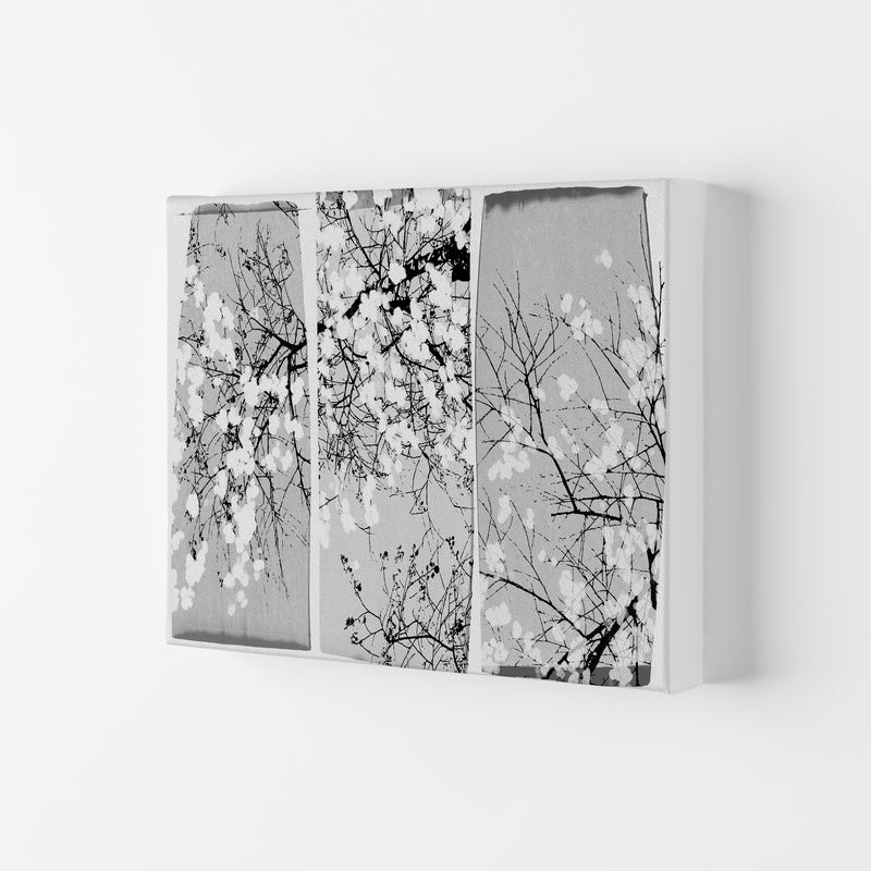 Oriental Blossom Botanical Art Print by Orara Studio Canvas