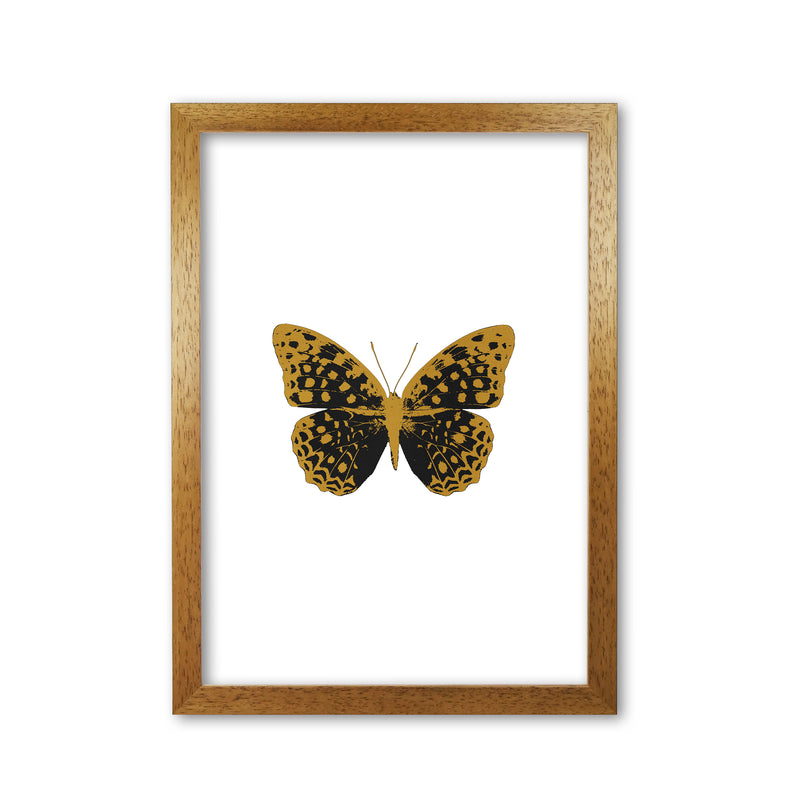 Black Butterfly Print By Orara Studio Animal Art Print Oak Grain