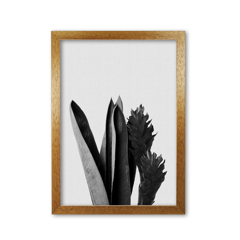 Flower Black & White Print By Orara Studio Oak Grain