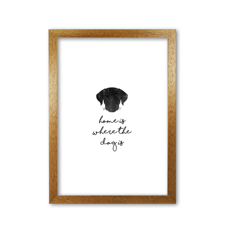 Home Is Where The Dog Is Print By Orara Studio Animal Art Print Oak Grain
