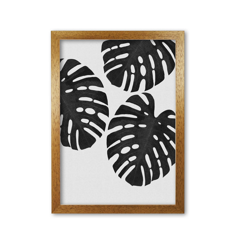 Monstera Black & White III Print By Orara Studio Oak Grain