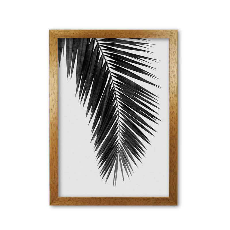 Palm Leaf Black & White I Print By Orara Studio Oak Grain