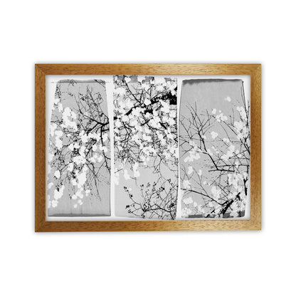 Oriental Blossom Botanical Art Print by Orara Studio Oak Grain