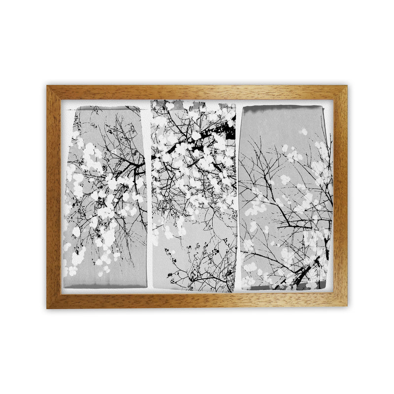 Oriental Blossom Botanical Art Print by Orara Studio Oak Grain