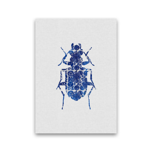 Blue Beetle II Print By Orara Studio Animal Art Print Print Only