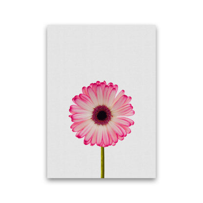 Daisy Still Life Print By Orara Studio, Framed Botanical & Nature Art Print Print Only