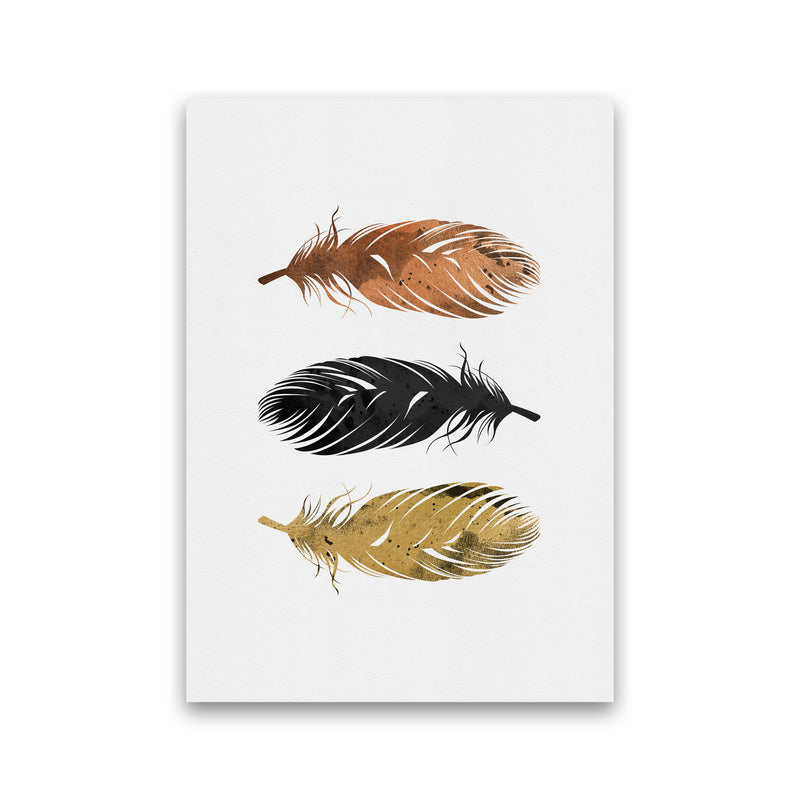 Feathers Print By Orara Studio, Framed Botanical & Nature Art Print Print Only