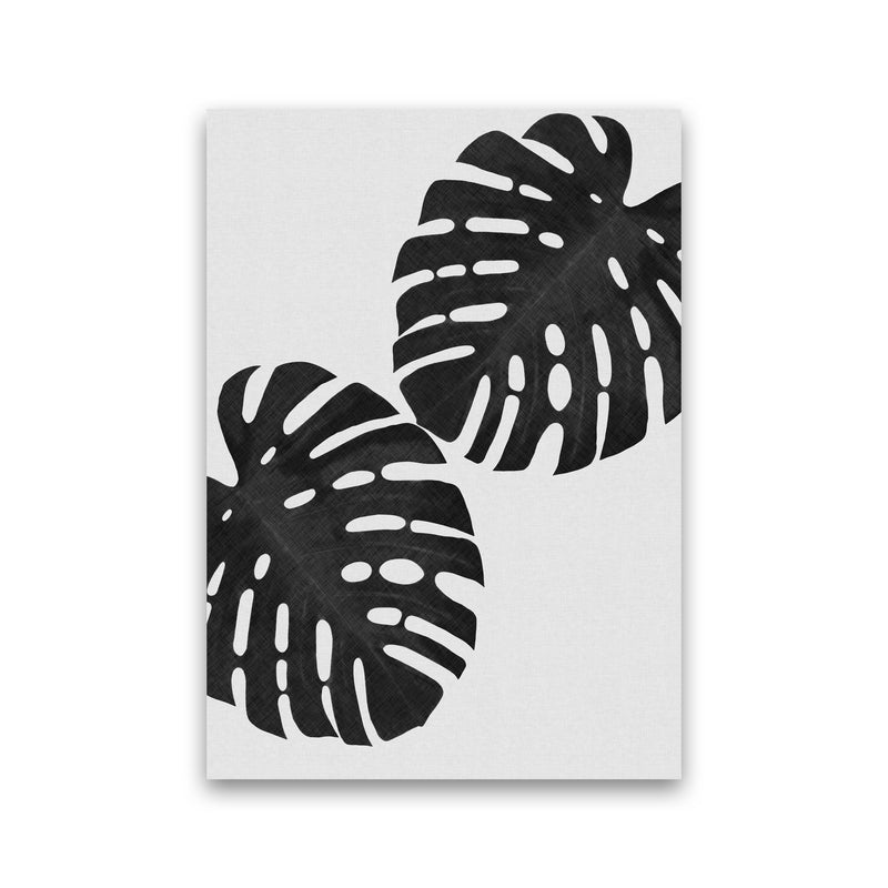 Monstera Black & White II Print By Orara Studio Print Only