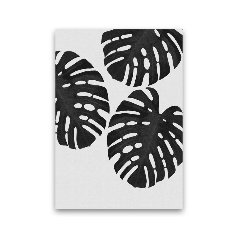 Monstera Black & White III Print By Orara Studio Print Only