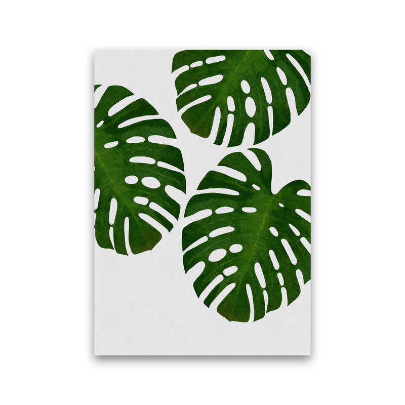 Monstera Leaf III Print By Orara Studio, Framed Botanical & Nature Art Print Print Only
