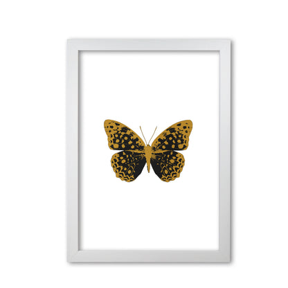 Black Butterfly Print By Orara Studio Animal Art Print White Grain