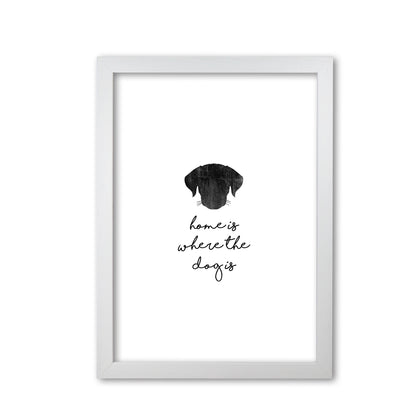 Home Is Where The Dog Is Print By Orara Studio Animal Art Print White Grain