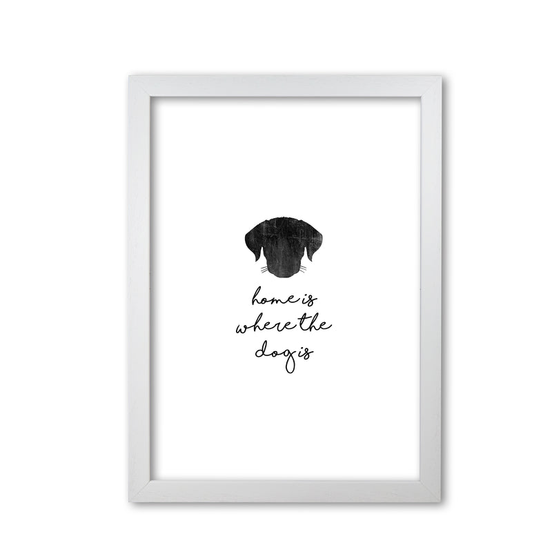 Home Is Where The Dog Is Print By Orara Studio Animal Art Print White Grain