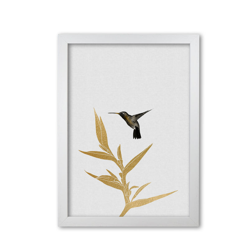 Hummingbird & Flower II Print By Orara Studio White Grain