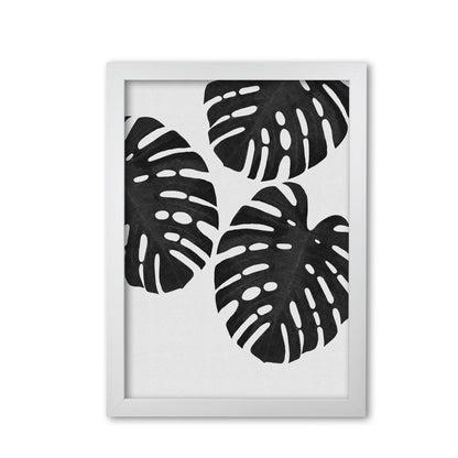Monstera Black & White III Print By Orara Studio White Grain
