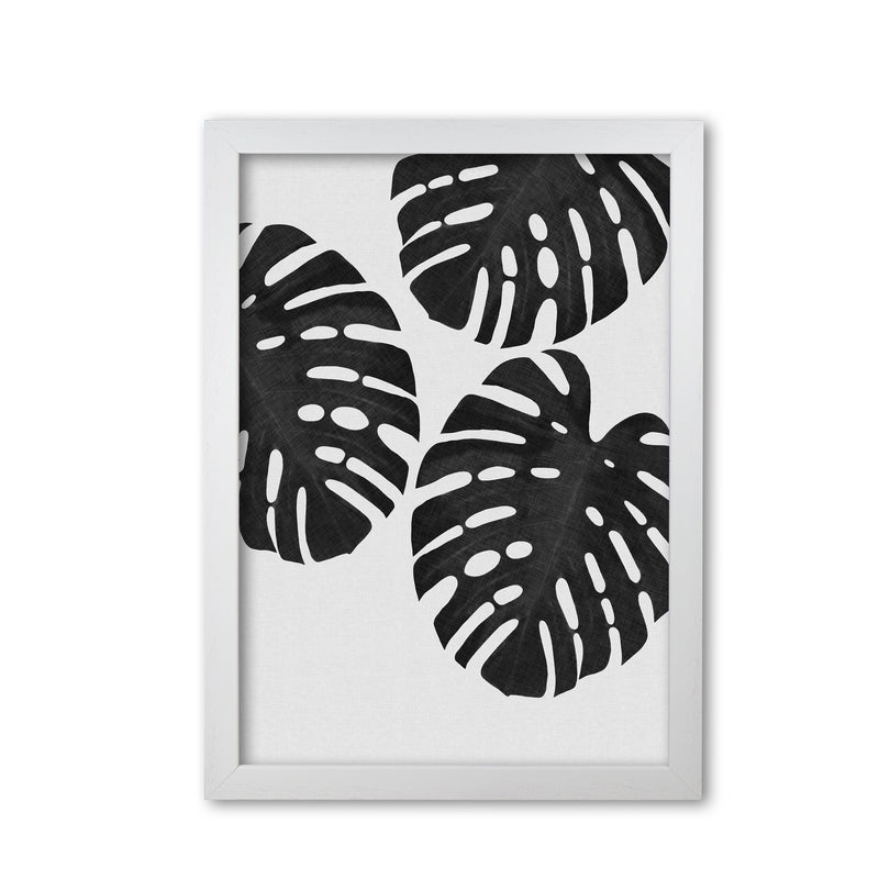 Monstera Black & White III Print By Orara Studio White Grain