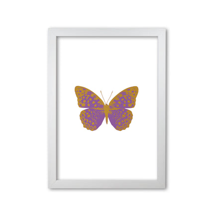 Purple Butterfly Print By Orara Studio Animal Art Print White Grain