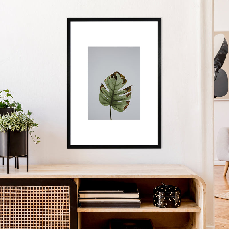 Old Leaf Grey Box  Art Print by Pixy Paper A1 White Frame