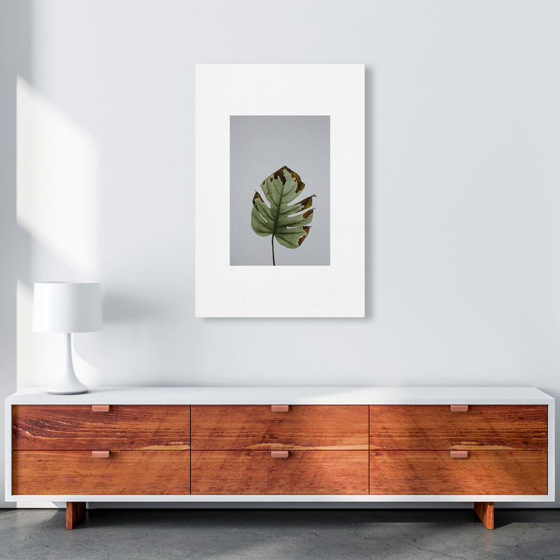 Old Leaf Grey Box  Art Print by Pixy Paper A1 Canvas