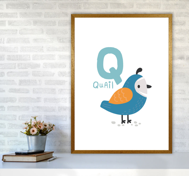 Alphabet Animals, Q Is For Quail Framed Nursey Wall Art Print A1 Print Only