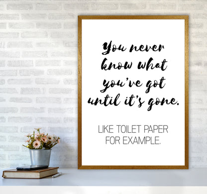 Toilet Paper, Bathroom Modern Print, Framed Bathroom Wall Art A1 Print Only