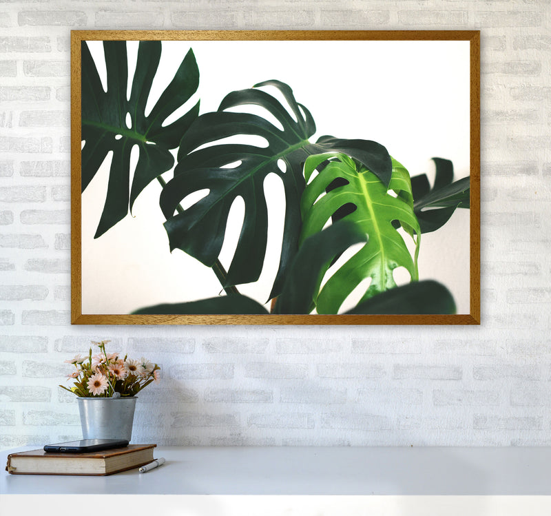 Monstera Leaf Landscape Modern Print, Framed Botanical & Nature Art Print A1 Print Only