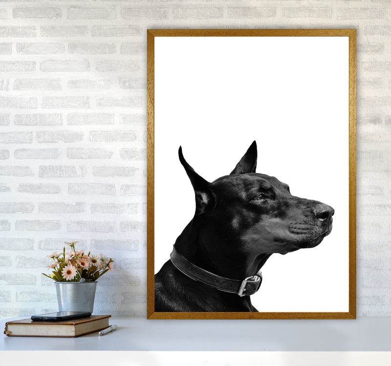 Black And White Dog Modern Print Animal Art Print A1 Print Only