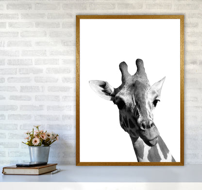 Black And White Giraffe Modern Print Animal Art Print A1 Print Only