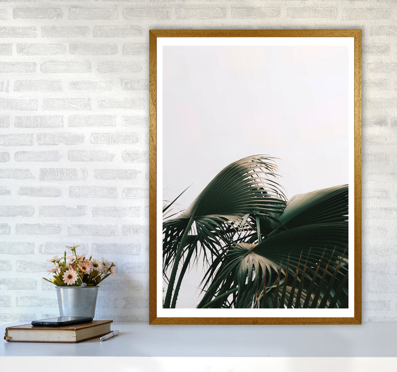 Bushy Palm Leaves Modern Print, Framed Botanical & Nature Art Print A1 Print Only
