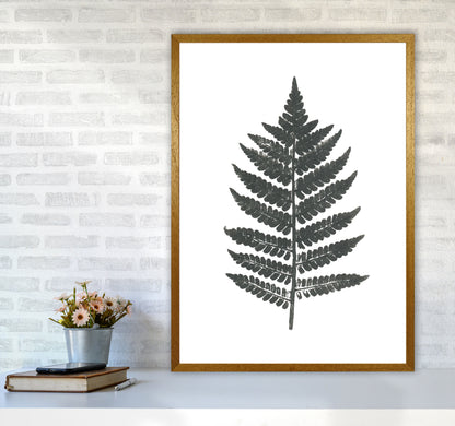 Vintage Fern Modern Print, Framed Botanical & Nature Art Print A1 Print Only