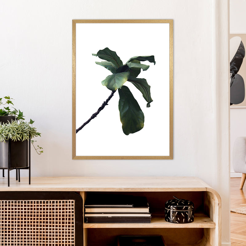 Plant Head Part Two  Art Print by Pixy Paper A1 Print Only