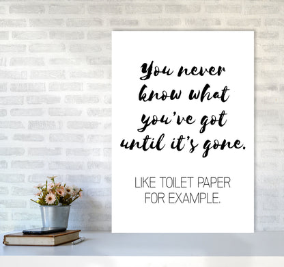 Toilet Paper, Bathroom Modern Print, Framed Bathroom Wall Art A1 Black Frame