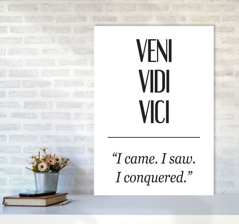 Veni Vidi Vici Modern Print A1 Black Frame