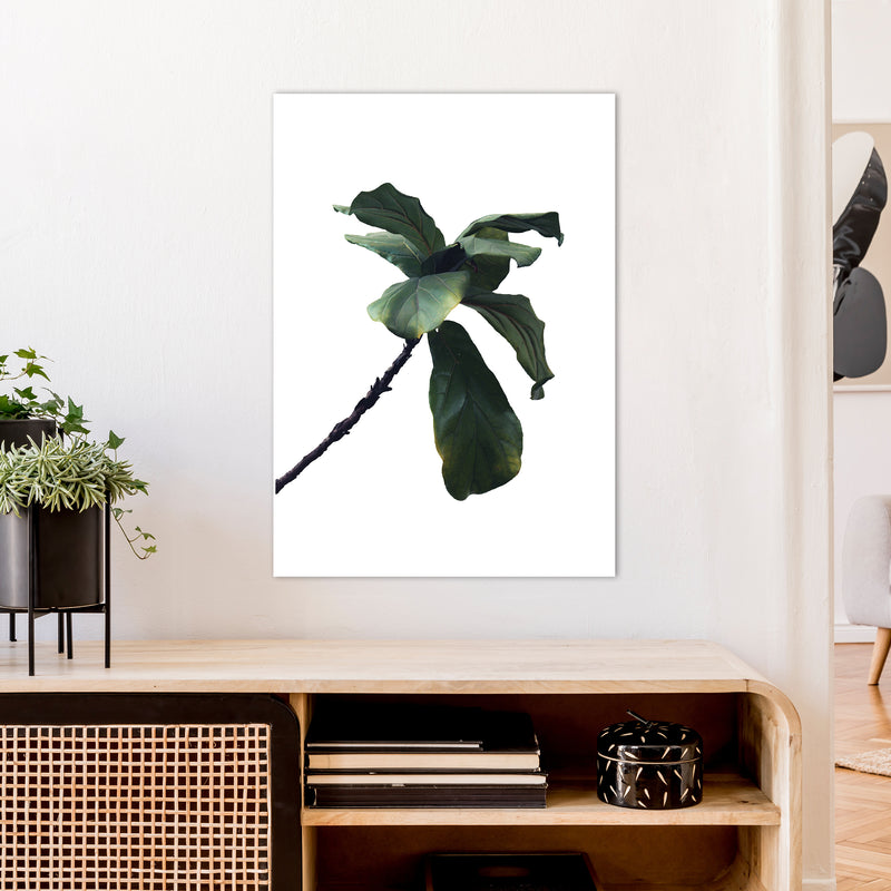 Plant Head Part Two  Art Print by Pixy Paper A1 Black Frame