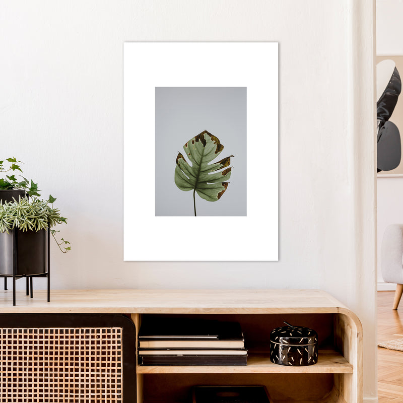 Old Leaf Grey Box  Art Print by Pixy Paper A1 Black Frame